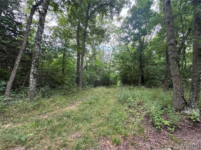 0 Walnut Street Place, New London, MO 63459