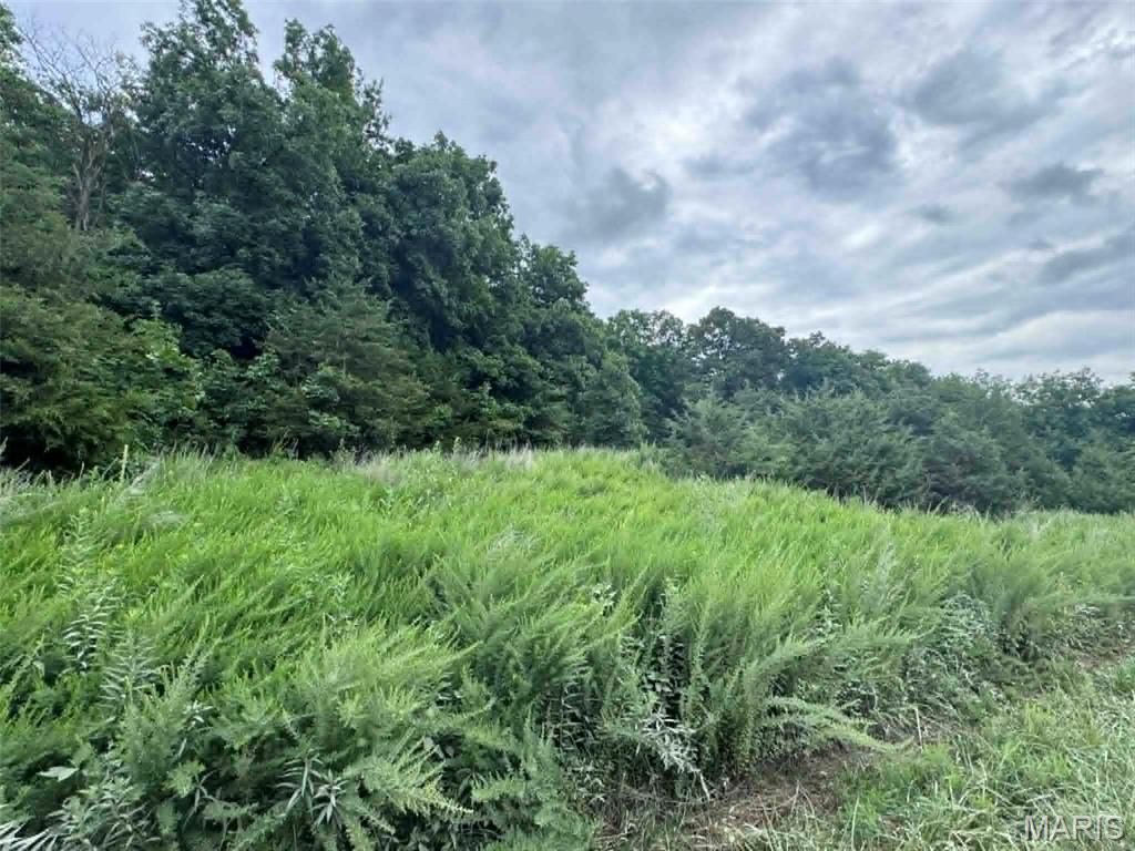 0 Walnut Street Place, New London, MO 63459