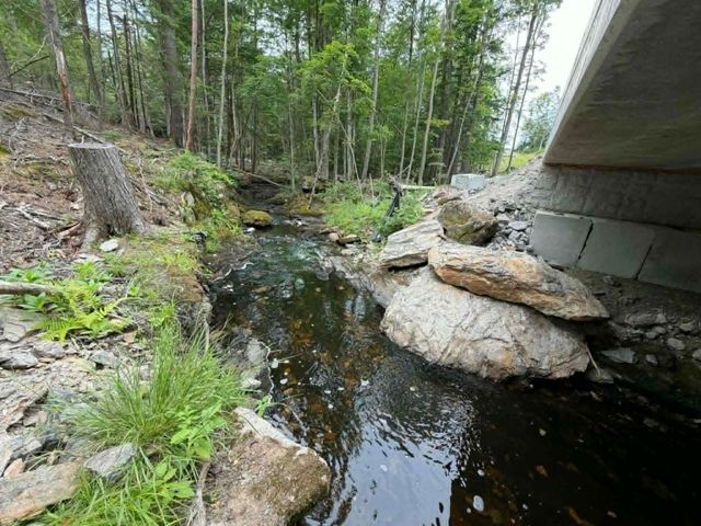 160 Horne Road, Belmont, NH 03220