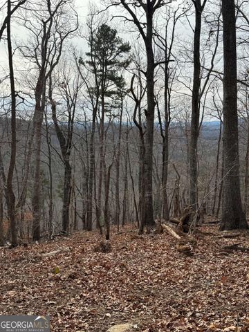 LOT 109B Folkstone Road, Talking Rock, GA 30175