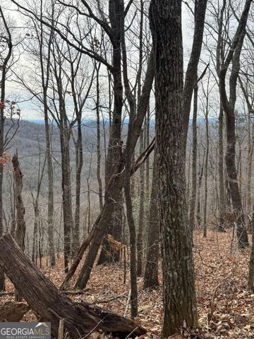 LOT 109B Folkstone Road, Talking Rock, GA 30175