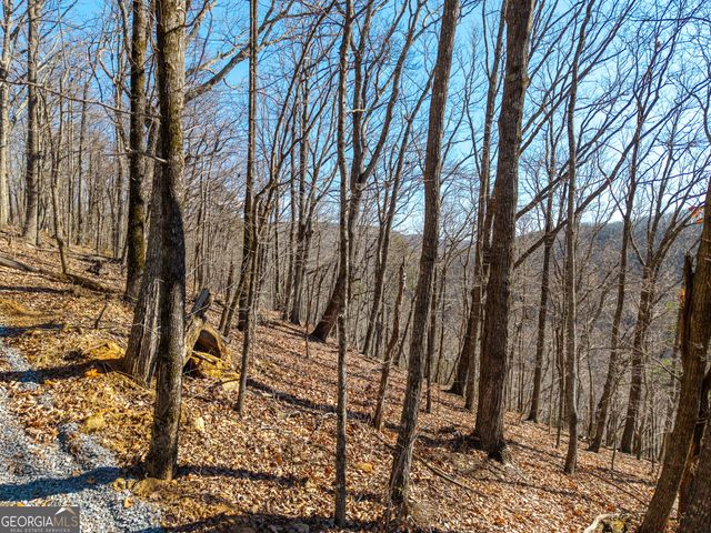 LOT 109B Folkstone Road, Talking Rock, GA 30175