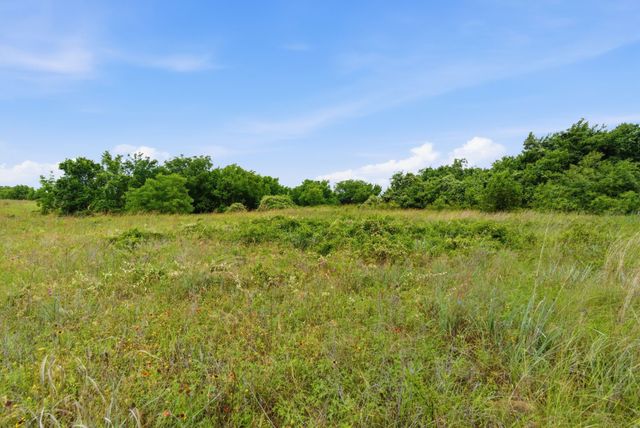 TBD Lone Star Road, Poolville, TX 76487