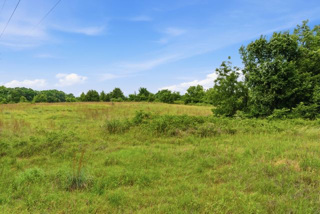 TBD Lone Star Road, Poolville, TX 76487