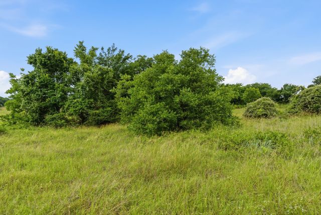 TBD Lone Star Road, Poolville, TX 76487