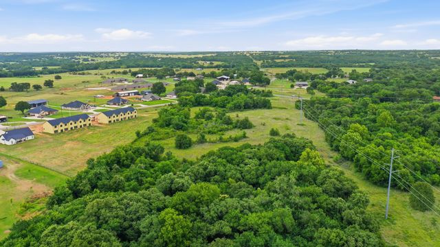 TBD Lone Star Road, Poolville, TX 76487