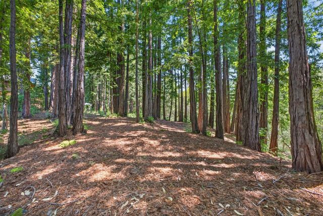 780 Elsie Mae Drive, Boulder Creek, CA 95006