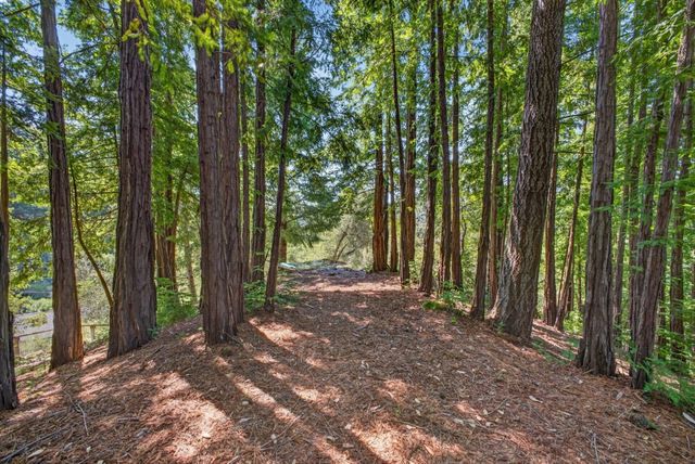 780 Elsie Mae Drive, Boulder Creek, CA 95006