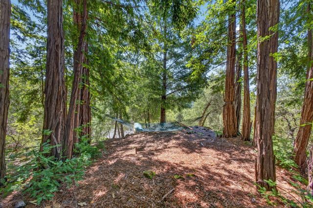 780 Elsie Mae Drive, Boulder Creek, CA 95006