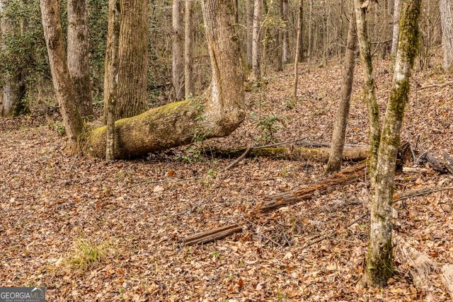 202 Daniel Road, Thomaston, GA 30286