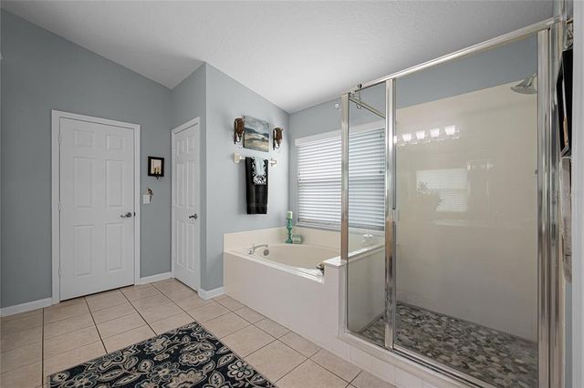3204 HAWKS RIDGE POINT, Kissimmee, FL 34741