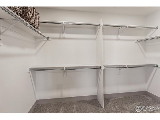 6079 Red Barn Rd, Timnath, CO 80547