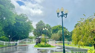 7705 Forest Green Lane, Boynton Beach, FL 33436