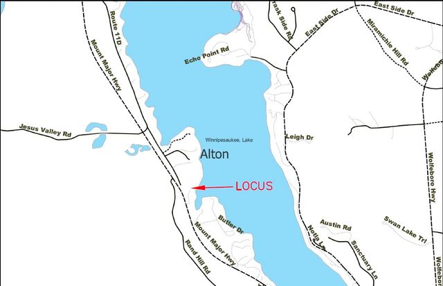 20-1 Boat Cove Road # 2, Alton, NH 03810