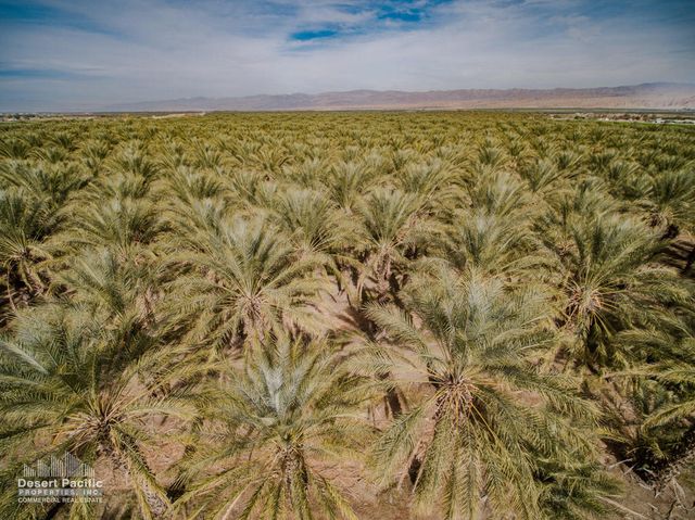 0 N Ave 62 & Pierce St, Thermal, CA 92274