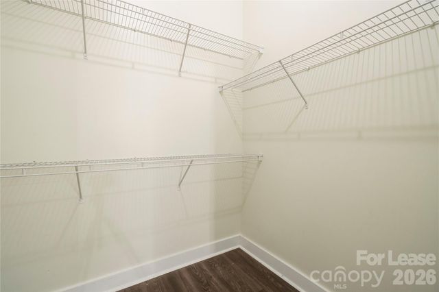 716 N Davidson Street 3, Charlotte, NC 28202