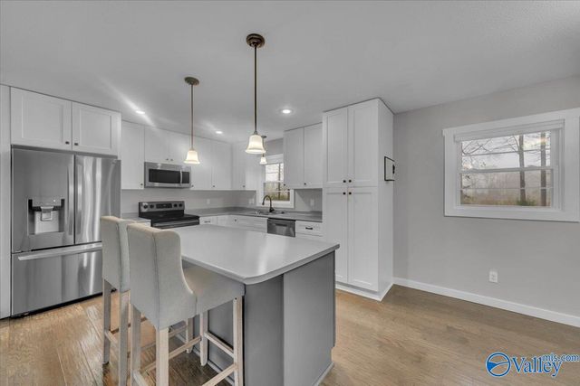 253 Rose Drive, Scottsboro, AL 35768