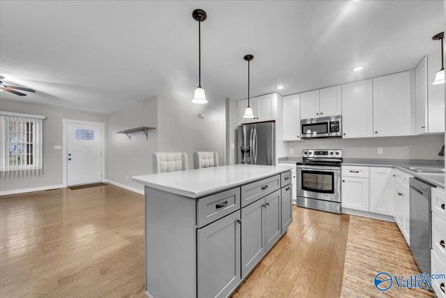 253 Rose Drive, Scottsboro, AL 35768