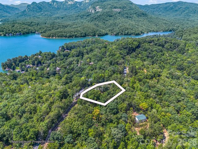 1050 Buffalo Shoals Road, Lake Lure, NC 28746