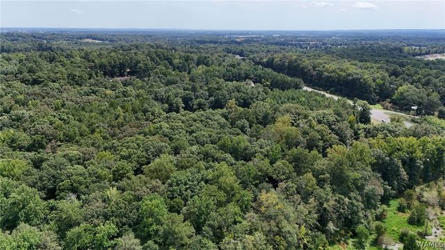 0000 HWY 43 N, Northport, AL 35473