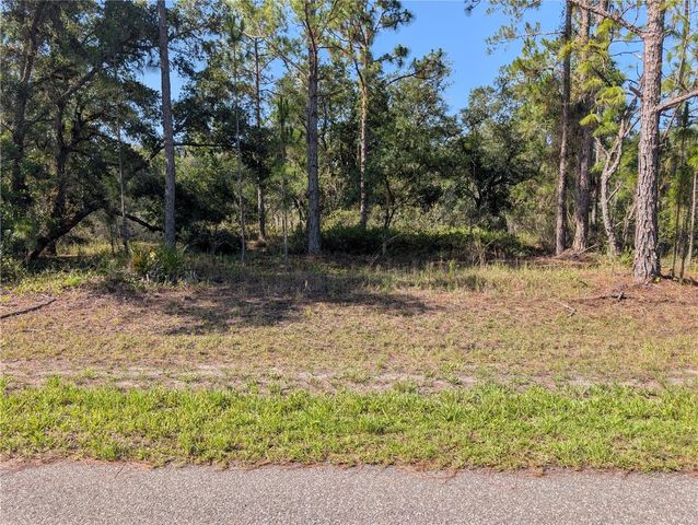 819 & 821 ALLAMANDA DRIVE, Indian Lake Estates, FL 33855