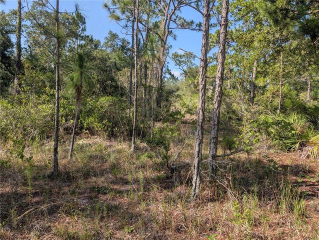 819 & 821 ALLAMANDA DRIVE, Indian Lake Estates, FL 33855