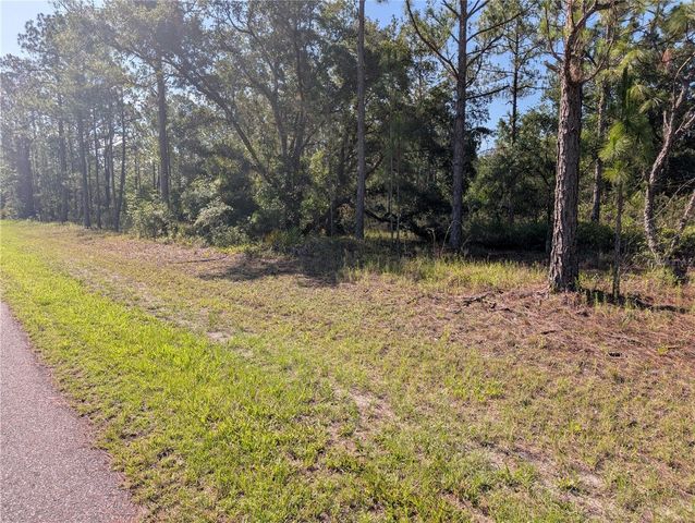 819 & 821 ALLAMANDA DRIVE, Indian Lake Estates, FL 33855