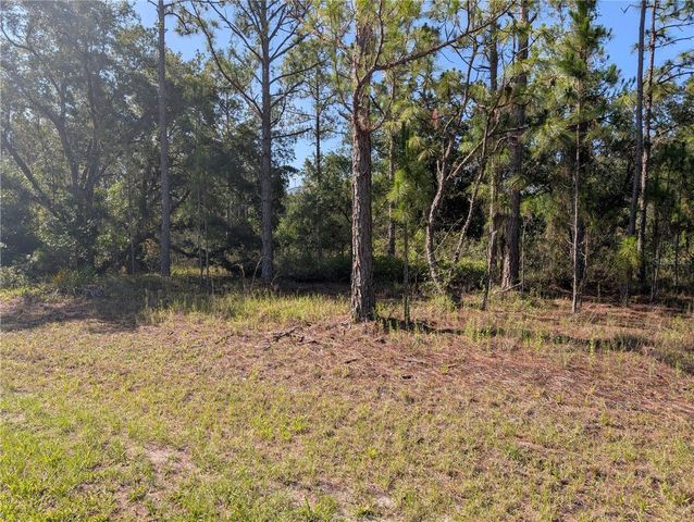 819 & 821 ALLAMANDA DRIVE, Indian Lake Estates, FL 33855
