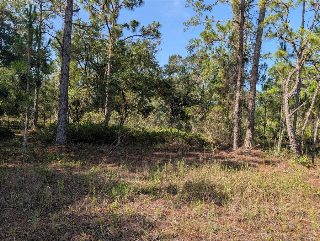 819 & 821 ALLAMANDA DRIVE, Indian Lake Estates, FL 33855