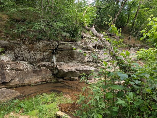 30 County Road 721, Berryville, AR 72616