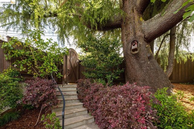 636 Euclid Ave, Berkeley, CA 94708