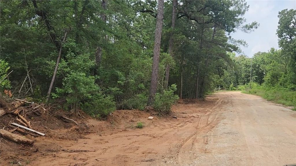 Lot 3 Scarlet Oak Drive, Plantersville, TX 77363 — exterior