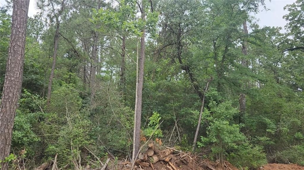 Lot 3 Scarlet Oak Drive, Plantersville, TX 77363 — photo 2