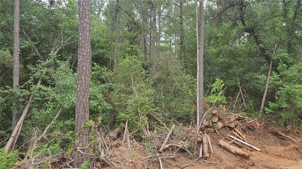Lot 3 Scarlet Oak Drive, Plantersville, TX 77363 — photo 3