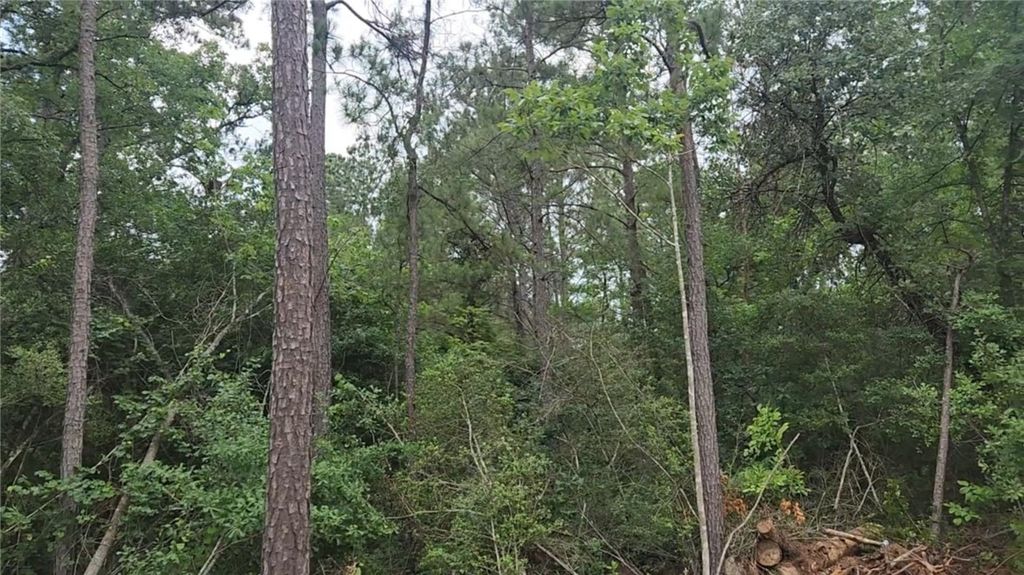 Lot 3 Scarlet Oak Drive, Plantersville, TX 77363 — photo 4