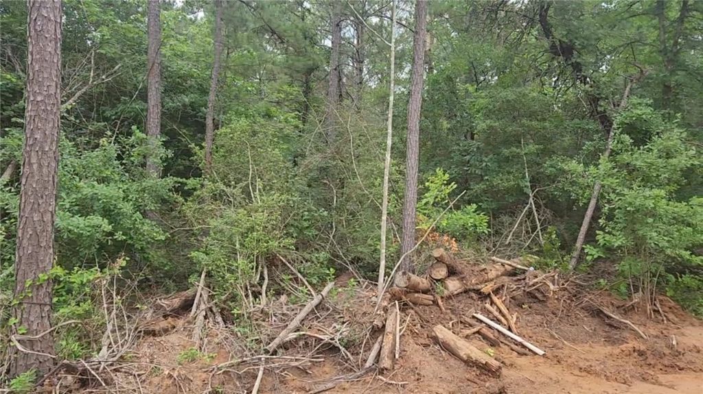 Lot 3 Scarlet Oak Drive, Plantersville, TX 77363 — photo 5