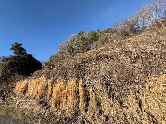 LOT Main Street, Copperhill, TN 37317