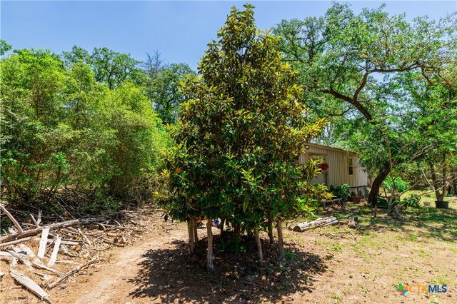 224 Pine Valley Dr, Paige, TX 78659