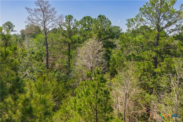 224 Pine Valley Dr, Paige, TX 78659