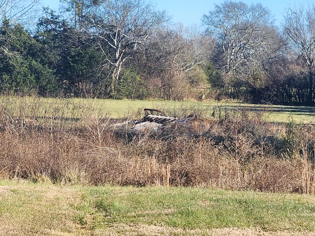 434 Meadowview Dr, Christiana, TN 37037