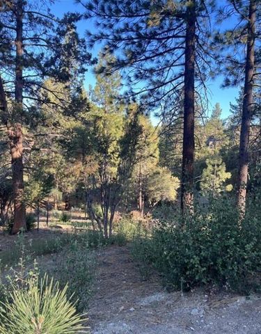 545 Division Drive, Big Bear, CA 92314
