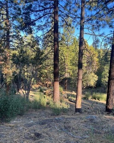 545 Division Drive, Big Bear, CA 92314