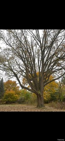 12935 Victoria Avenue, Huntington Woods, MI 48070