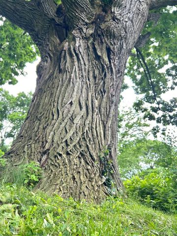 12935 Victoria Avenue, Huntington Woods, MI 48070