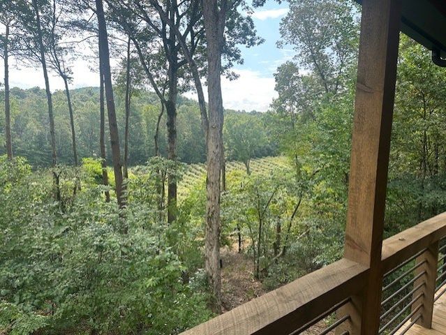 167 Meadow View Court, Ellijay, GA 30536