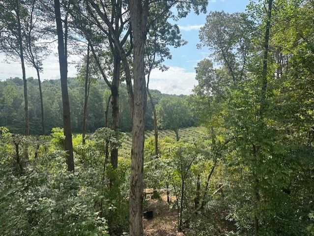 167 Meadow View Court, Ellijay, GA 30536