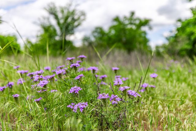 1728 Sweet Springs, Weatherford, TX 76088