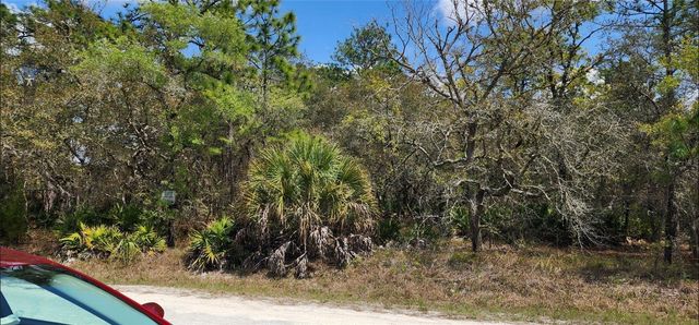 18099 PARAKEET ROAD, Brooksville, FL 34614