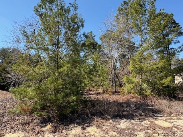 23 Tall Marigolds Court, Homosassa, FL 34446