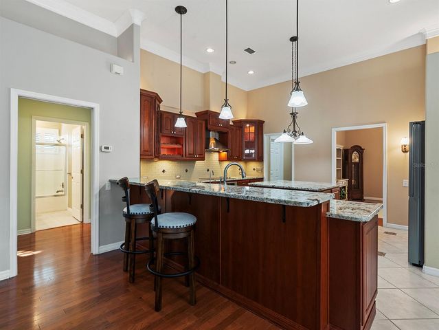 17012 PICKETTS COVE ROAD, Orlando, FL 32820